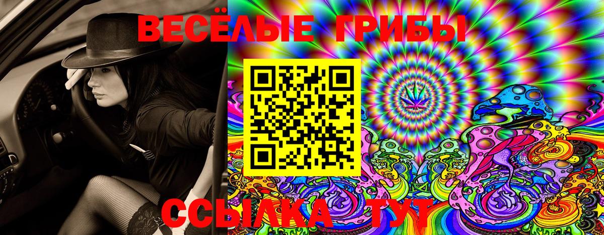 что такое наркотик  Вход с VPN  Нижнеудинск  Галлюциногенные грибы Psilocybine cubensis 